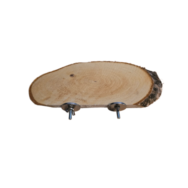 Sitzbrett Oval - Birke