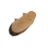 Sitzbrett Oval - Birke