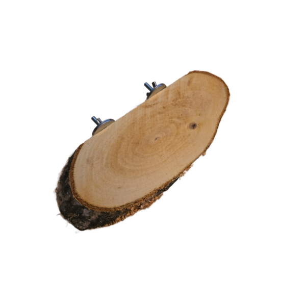 Sitzbrett Oval - Birke