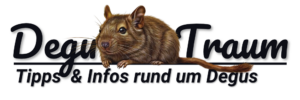 Degu Traum